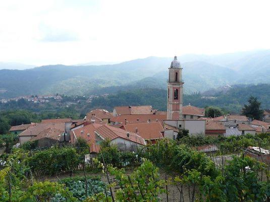 Locanda Agrogallo Carro Extérieur photo