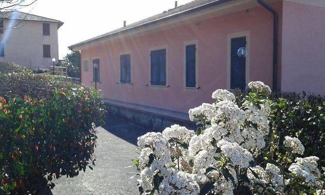 Locanda Agrogallo Carro Extérieur photo